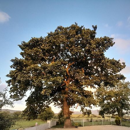 캐슬월란 Oaktree Manor 빌라 외부 사진